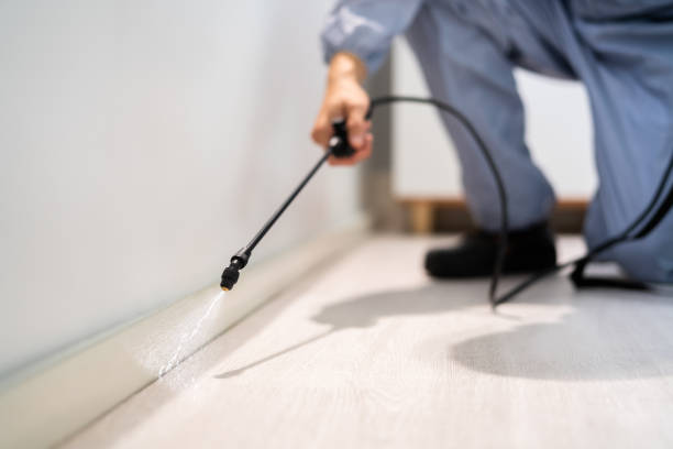 Certified termite inspector examining foundation in Chenoweth