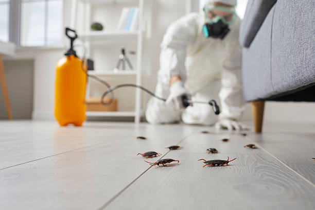Post-Treatment Bed Bug Interceptor Monitoring in Chenoweth