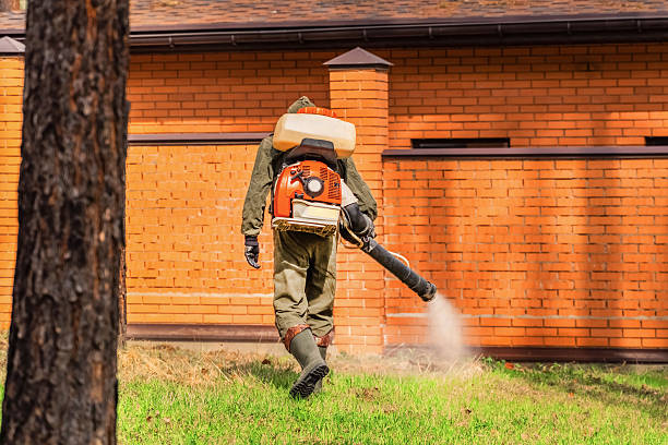 Bed Bug Clearance Verification and Documentation in Chenoweth